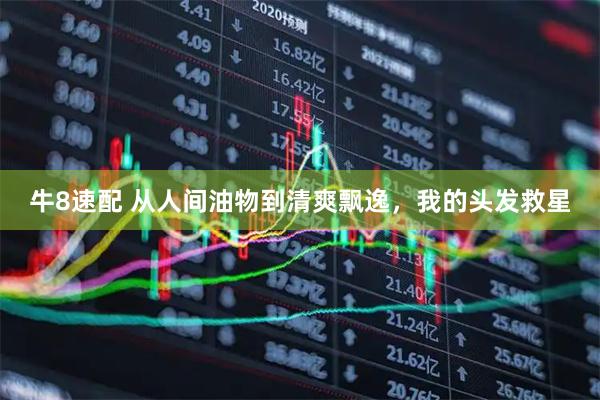 牛8速配 从人间油物到清爽飘逸，我的头发救星