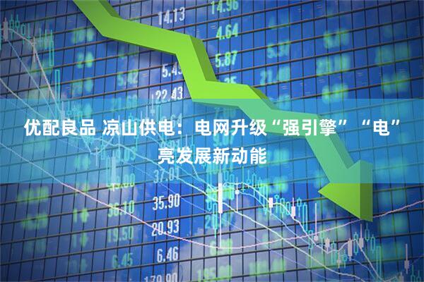 优配良品 凉山供电：电网升级“强引擎” “电”亮发展新动能
